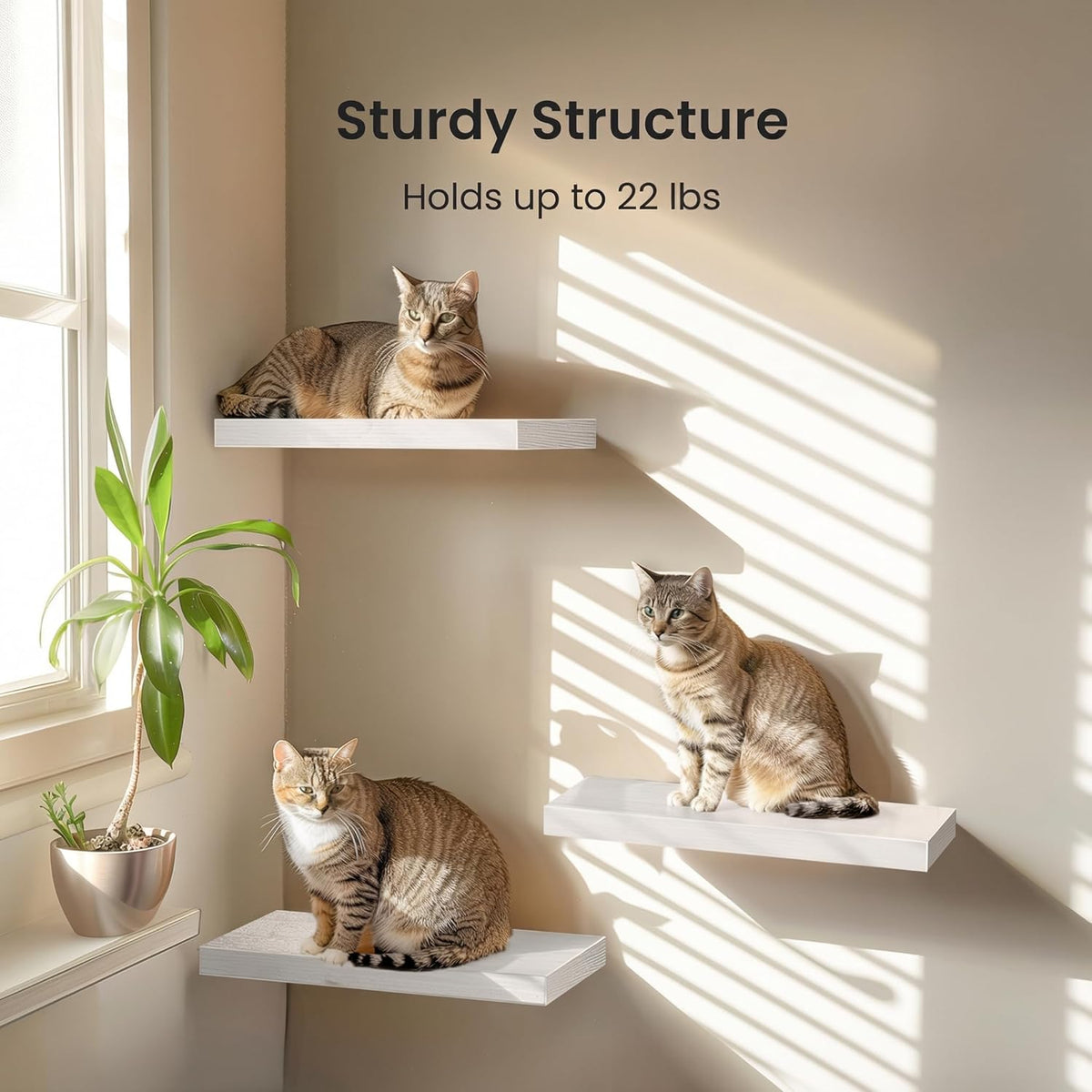 Amada 15.7" Floating Shelves for Wall Decor & Storage, Set of 3, White
